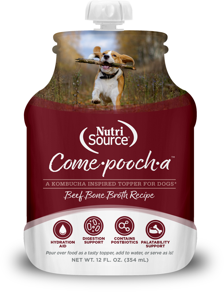 NutriSource Come-Pooch-A - Beef Bone Broth Recipe Net Wt. 12 FL. OZ. (354 mL)